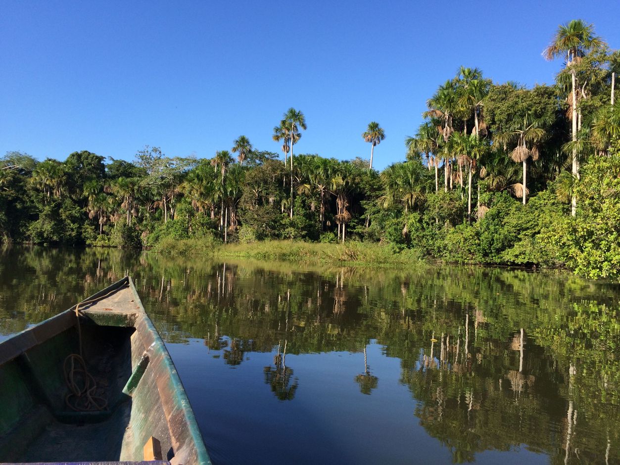 Inotawa lodge Puerto Maldonado jungeverblijf wildlife